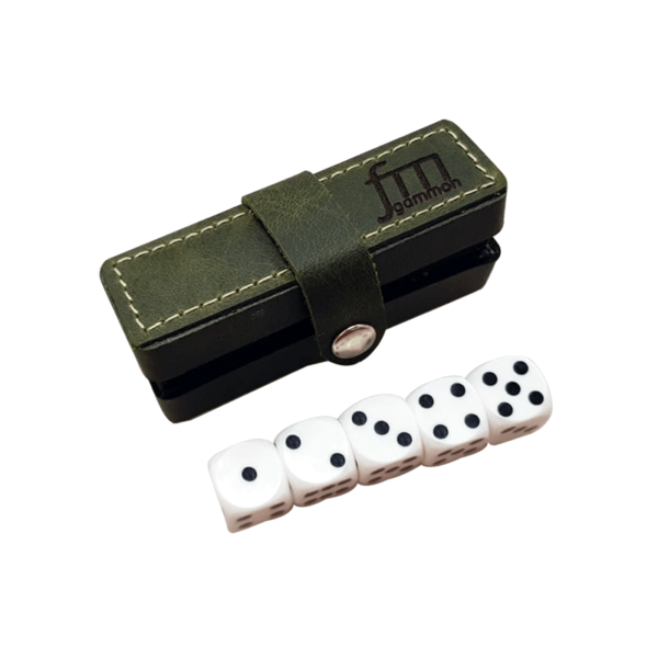 FM - Leather Dice Box - Green - Image 2